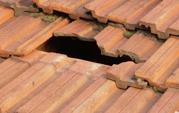 roof repair Teign Village, Devon